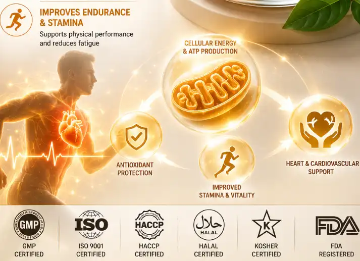 How to Evaluate CoQ10 Powder Suppliers and Quality Standards